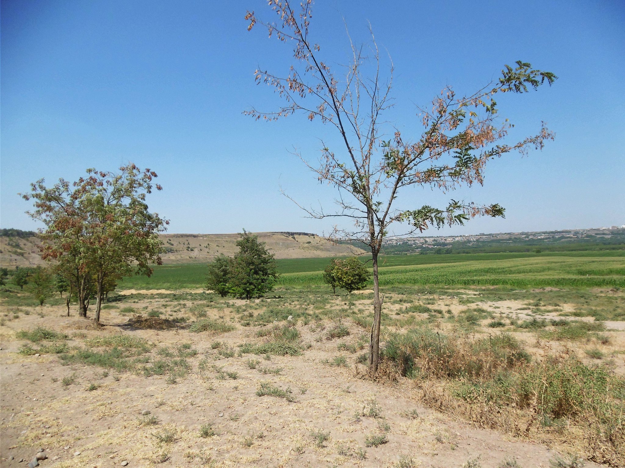 Kırklar Dağı’nın Mahzun Sevdası: Suzan ile Adil’in Hikayesi